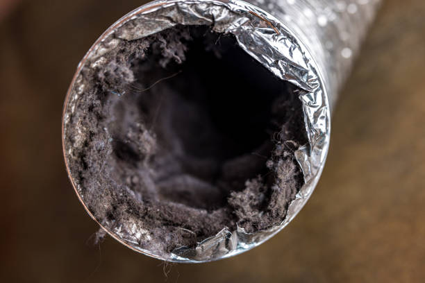 Best Professional Duct Cleaning Services  in Franklin Park, NJ